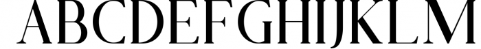Phillips Muler // Elegant Font Duo 1 Font UPPERCASE