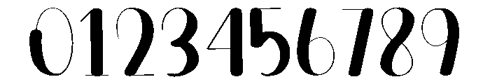 Physical Font OTHER CHARS