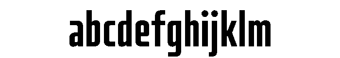 PhD Bold FONT