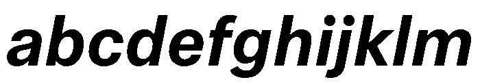 Phonic BoldItalic FONT