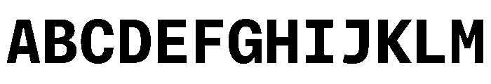 Phonic MonospacedBold Font UPPERCASE