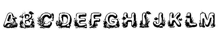 Pip Regular FONT