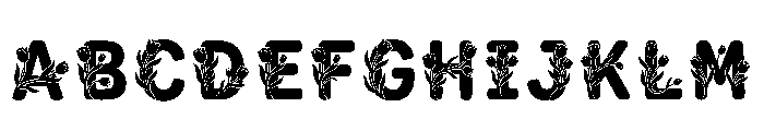 Pisa Regular Font UPPERCASE