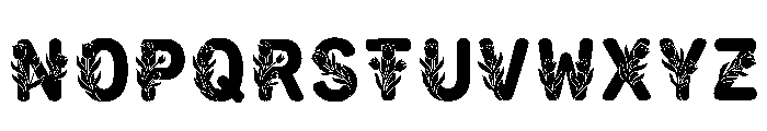 Pisa Regular Font LOWERCASE