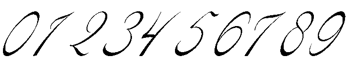 Pitholica Delicate Italic Font OTHER CHARS