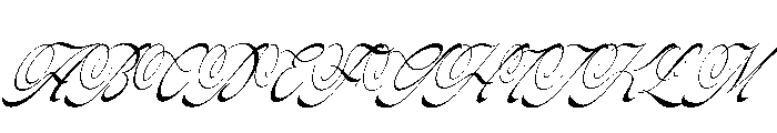 Pitholica Delicate Italic Font UPPERCASE