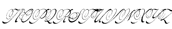 Pitholica Delicate Italic Font UPPERCASE