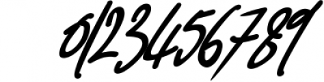 Pink Script - Beautiful Signature Font 1 Font OTHER CHARS