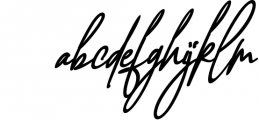 Pink Script - Beautiful Signature Font 1 Font LOWERCASE