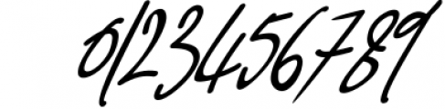 Pink Script - Beautiful Signature Font 2 Font OTHER CHARS