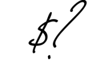 Pink Script - Beautiful Signature Font 2 Font OTHER CHARS