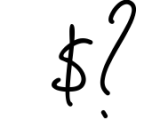 Pink Script - Beautiful Signature Font Font OTHER CHARS