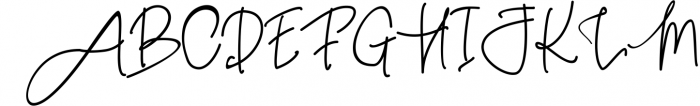 Pink Script - Beautiful Signature Font Font UPPERCASE