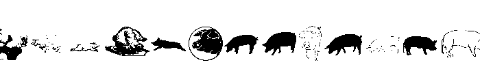 PigRules Font LOWERCASE