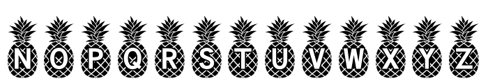 Pineapple_Mono Font LOWERCASE