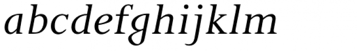 Pilgrim Pro Italic Font LOWERCASE