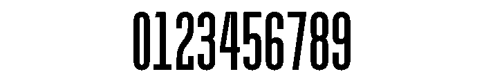 Pion Bold Instance Font OTHER CHARS