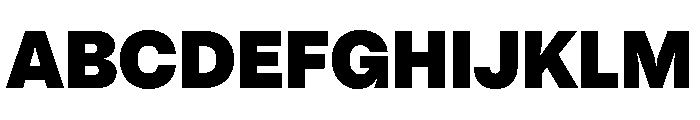 PizGrotesk Black Font UPPERCASE