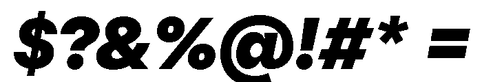 PizGrotesk BlackOblique Font OTHER CHARS