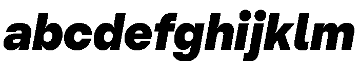 PizGrotesk BlackOblique FONT