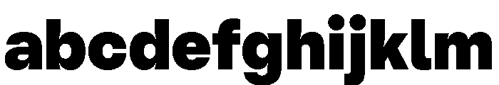 PizGrotesk Black FONT