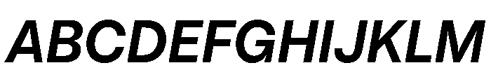 PizGrotesk BoldOblique Font UPPERCASE
