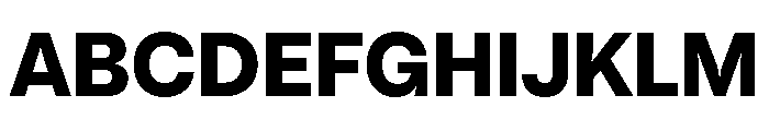 PizGrotesk ExtraBold Font UPPERCASE