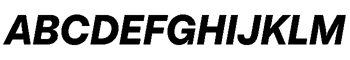 PizGrotesk ExtraBoldOblique Font UPPERCASE