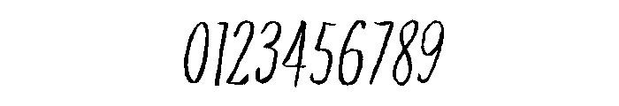 Plunct Extra Bold Font OTHER CHARS