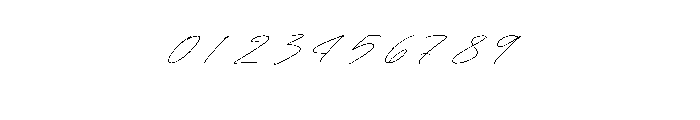 Plamstimes Italic Font OTHER CHARS