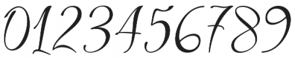 Pleasselio Script Regular otf (400) Font OTHER CHARS