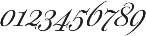 Plethora Italic Variable ttf (400) Font OTHER CHARS