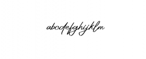 Platinum Signature.otf Font LOWERCASE