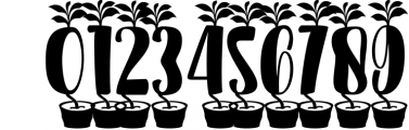 Plant Factory font and monogram 7 Font OTHER CHARS