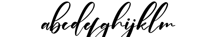 Plasmatic Signature Font LOWERCASE