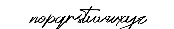 Platinum Signature Font LOWERCASE
