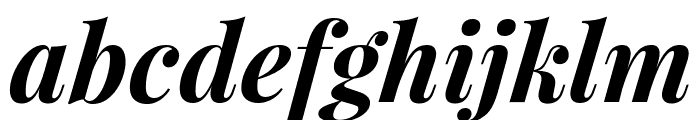 Playfair Display Bold Italic Font LOWERCASE