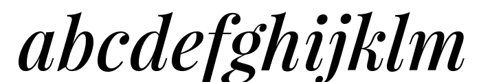 Playfair Display SemiBold Italic Font LOWERCASE