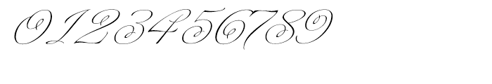 Platinus Script Regular Font OTHER CHARS