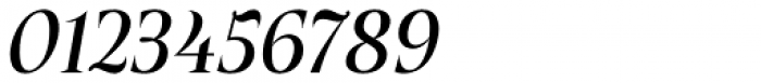 Plaisir Medium Italic Font OTHER CHARS