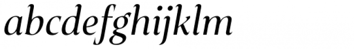 Plaisir Regular Italic Font LOWERCASE
