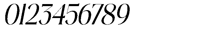 Plakent Italic Font OTHER CHARS