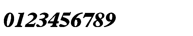 Plantin Now Text ExtraBold Italic Font OTHER CHARS