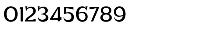 Plenary Regular Font OTHER CHARS