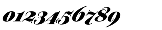 Plethora Black Italic Font OTHER CHARS