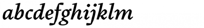 Pliego Medium Italic Font LOWERCASE