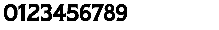 Pluribus Bold Font OTHER CHARS