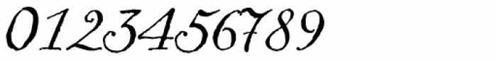 pLatinum Italic Font OTHER CHARS