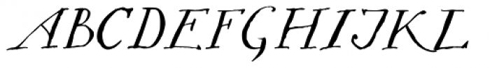 pLatinum Italic Font UPPERCASE