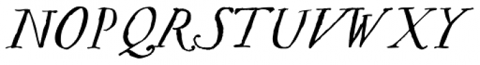 pLatinum Italic Font UPPERCASE
